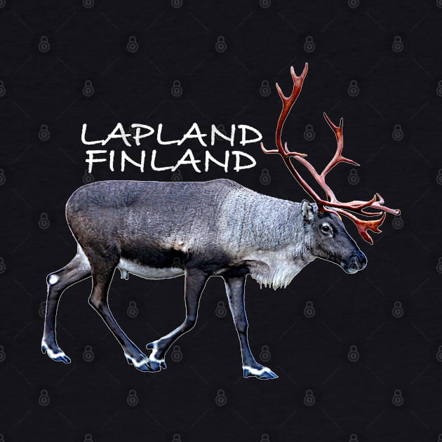 Lapland by FotoJarmo